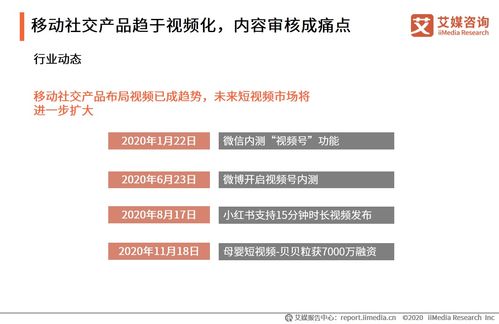 艾媒咨询《2020-2021年中国移动社交行业研究报告》技术咨询服务解析